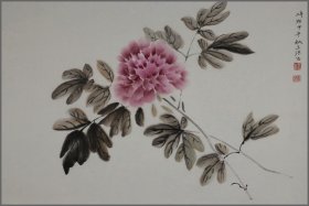 王法， 精品花卉画 江苏南通人