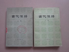 古代汉语 上下册 全二册2本合售