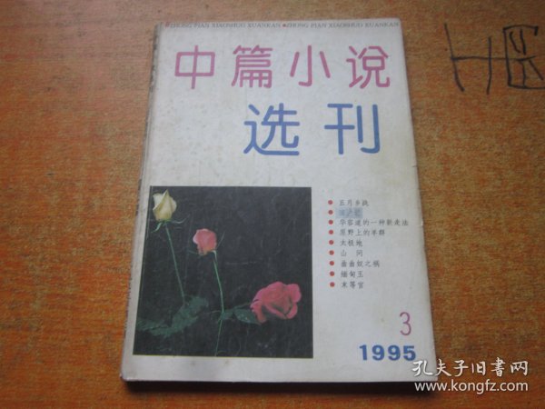 中篇小说选刊1995年第3期