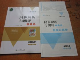 人教金学典 同步解析与测评 学考练 中国历史 八年级下册 人教版.
