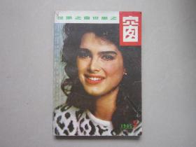 世界之窗-1985年第5期