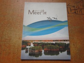 Meet沙湖
