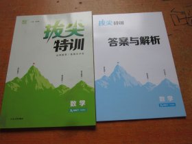 通城学典拔尖特训数学九年级下册 华师版