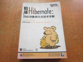 精通hibernate java对象持久化技术详解