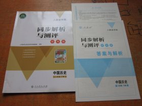 人教金学典 同步解析与测评 学考练 中国历史 八年级下册 人教版