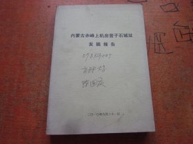 内蒙古赤峰上机房营子石城址发掘报告