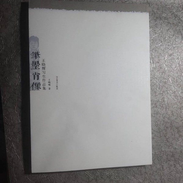 王晓辉写生作品集：笔墨肖像