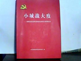 小城战大疫-汤阴县抗击新冠奥克戎重大疫情纪实