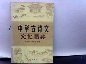 中学古诗文 文化图典