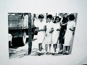 照片：50年代台湾学生