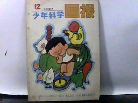 1988年 少年科学画报【12】