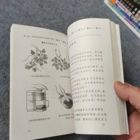 治疗便秘100法