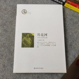 月亮河 王成林著