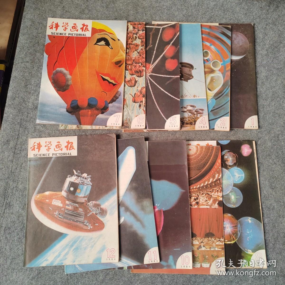 科学画报1986年1-12月号 缺3月号 共11本合售
