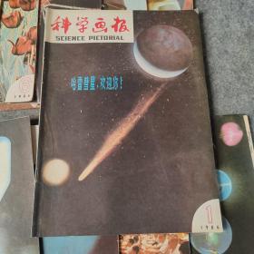 科学画报1986年1-12月号 缺3月号 共11本合售