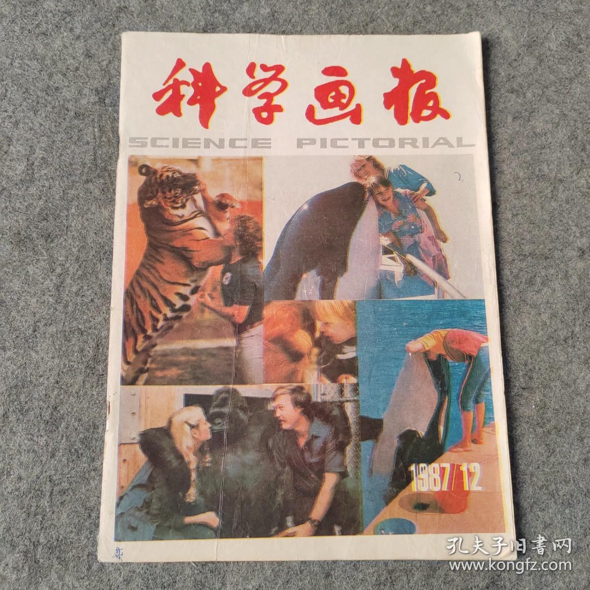 科学画报1987年12月号