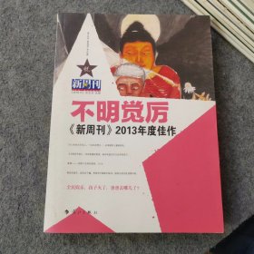 不明觉厉《新周刊》2013年度佳作