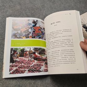 彩色的山乡 菜茵杯美丽海洋获奖作品集