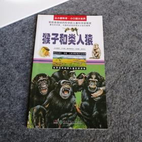 从小爱科学小口袋大世界 猴子和类人猿