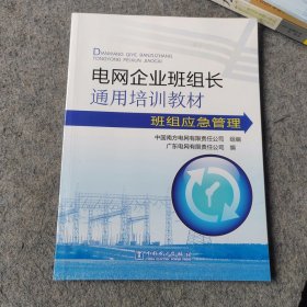 电网企业班组长通用培训教材：班组应急管理