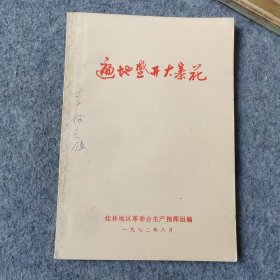 1972年：遍地盛开大寨花