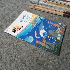 儿童绘本：数学大爆炸 锤头鲨有办法