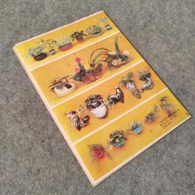 科学画报1987年10月号