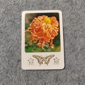 1983年老年历片：菊花图案