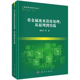 正版✔重金属废水深度处理：从原理到实践 潘丙才等✍正版全新稀缺好书现货如需其他图书敬请联系客服:)
