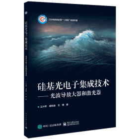 正版✔硅基光电子集成技术——光波导放大器和激光器 王兴军✍正版全新书籍现货如需其他图书敬请联系客服:)