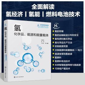 正版✔氢：化学品、能源和能量载体 陈诵英、陈桥、牛卫永 等 编著✍氢经济、氢能和燃料电池技术正版全新书籍现货如需其他图书敬请联系客服:)