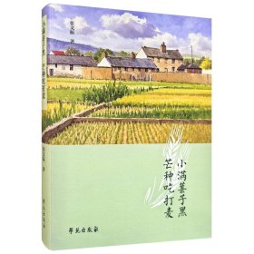正版✔小满葚子黑 芒种吃打麦 张文振✍正版全新书籍现货如需其他图书敬请联系客服:)