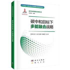 正版✔碳中和目标下多能融合战略 刘中民等✍正版全新稀缺好书现货如需其他图书敬请联系客服:)