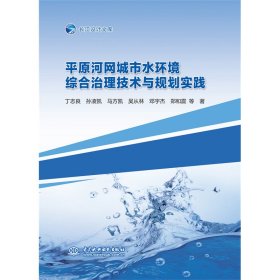 正版✔平原河网城市水环境综合治理技术与规划实践 丁志良✍正版全新书籍现货如需其他图书敬请联系客服:)