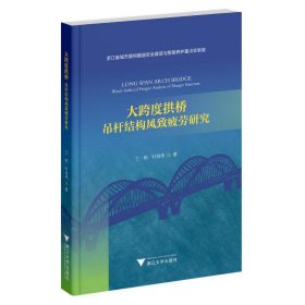 正版✔大跨度拱桥：吊杆结构风致疲劳研究 丁杨✍正版全新书籍现货