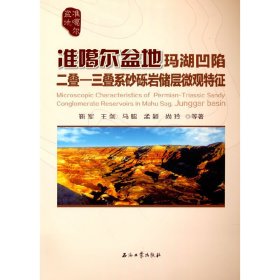 正版✔准噶尔盆地玛湖凹陷二叠—三叠系砂砾岩储层微观特征 靳军，王剑，马聪，孟颖，尚玲 著✍正版全新书籍现货如需其他图书敬请联系客服:)