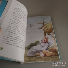 阿米Ⅱ-宇宙之心