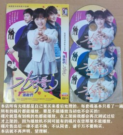 2碟DVD-9韩国爱情偶像动作喜剧《强敌们》（中韩双语发音）导演：韩俊、主演：蔡琳，李钟赫，李真旭，李德华，崔子慧