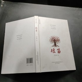短笛 : 金澄詩(shī)集