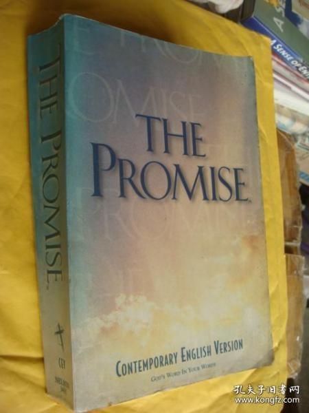 THE PROMISE 大32开厚册 1473页