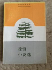 徐慎小说选··