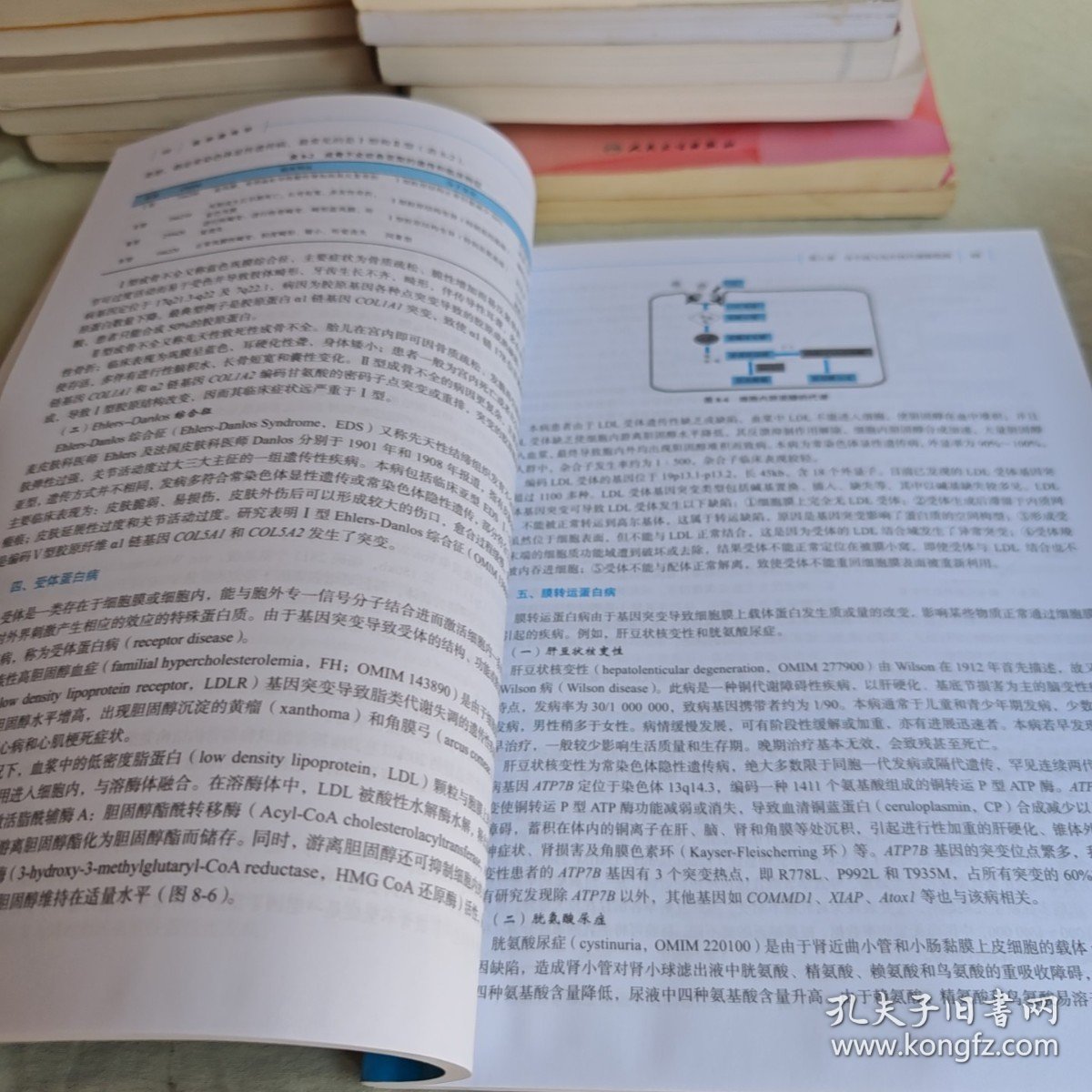 【正版二手书籍】 医学遗传学 龙莉，杨明 科学出版社 9787030549426 27-3-2-76