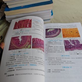【正版二手书籍】 组织学与胚胎学实验教程 27-4-2-125
