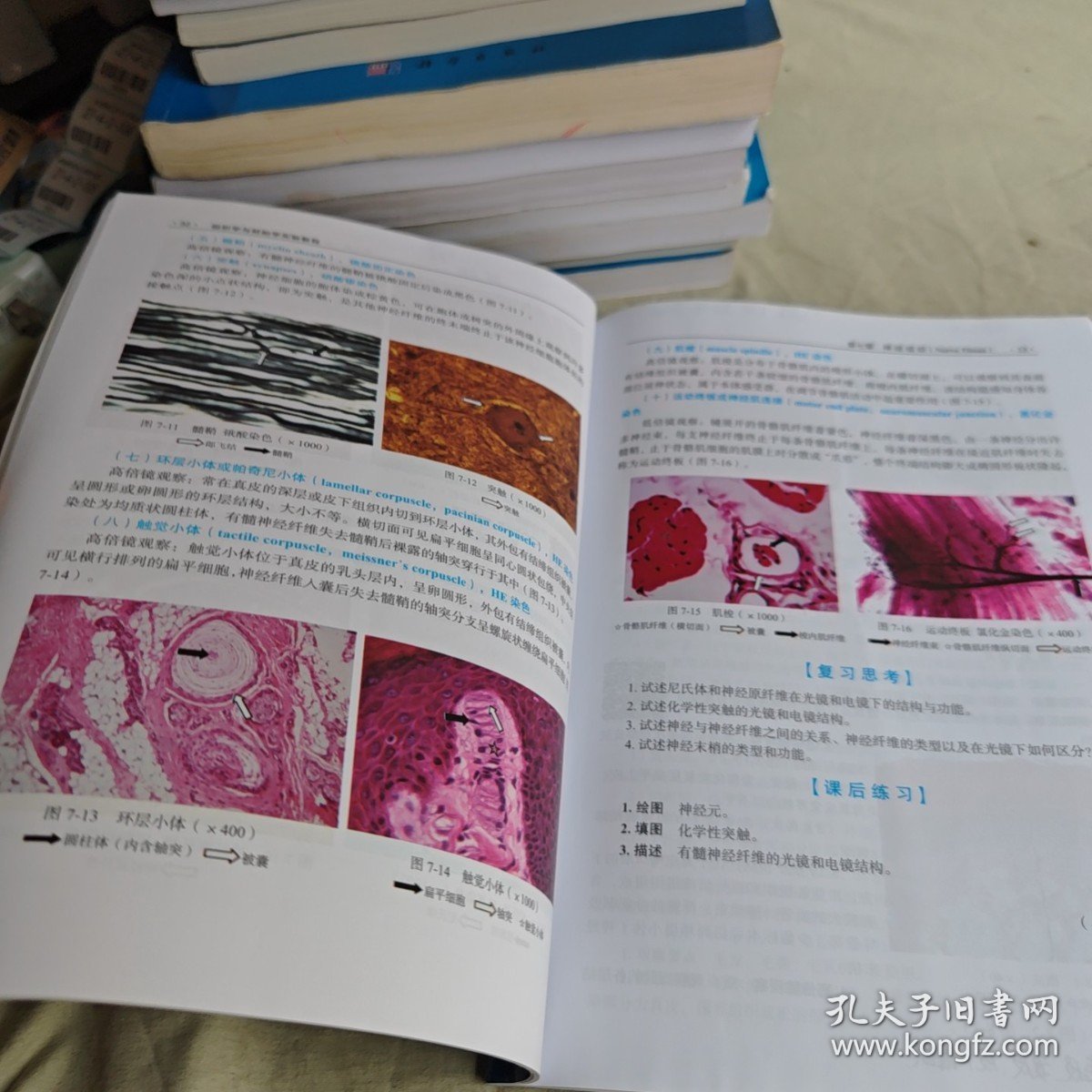 【正版二手书籍】 组织学与胚胎学实验教程 27-4-2-125