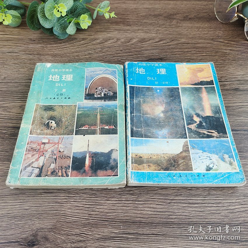 90 九十年代老版高中地理课本， 人民教育出版社 高级中学课本 地理 上下册 正版不缺页 95-2001年印