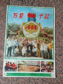 70年代电影宣传画13、万紫千红，1973年长城电影制片厂。中国电影公司，规格2开，9品。