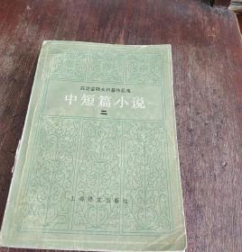 陀思妥耶夫斯基作品集中短篇小说二 内含全本荣如德译本《涅朵奇卡.涅茨瓦诺娃》