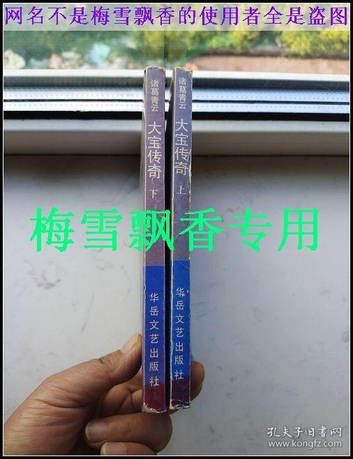 大宝传奇上下2册全