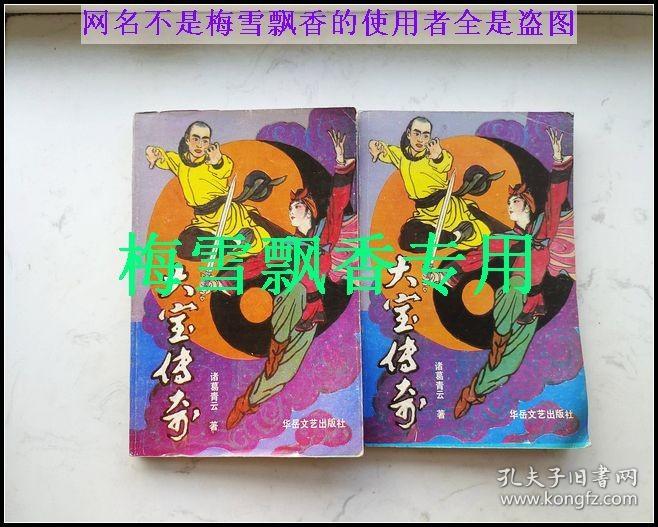 大宝传奇上下2册全