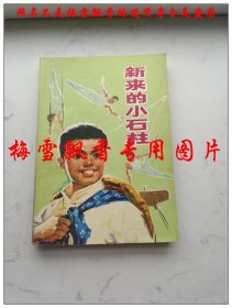 新来的小石柱